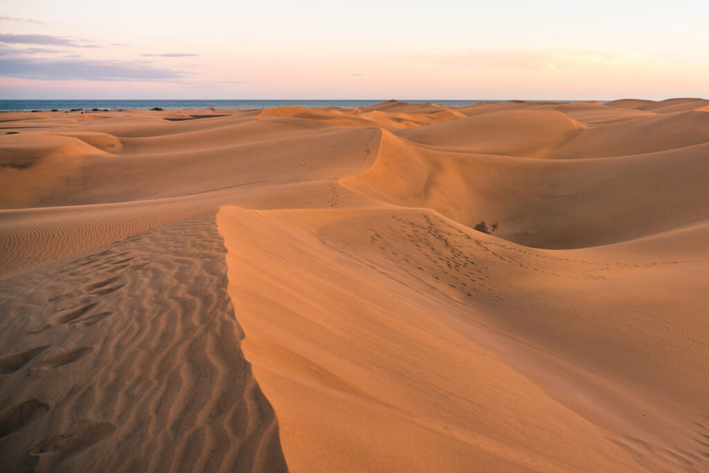 Why sand dune drives create thrilling safari